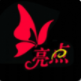 亮点直播