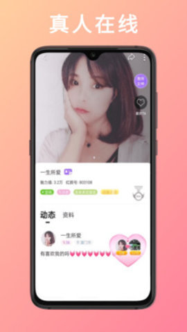 金星直播高清版