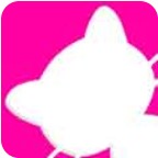猫咪视频最新破解版v1.0.2
