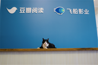 豆瓣阅读